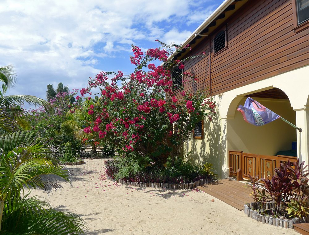 Hawksbill House